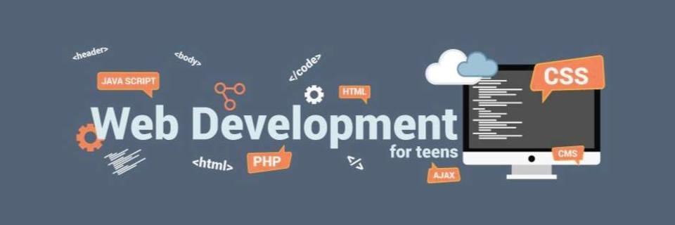 why_choose_web_development